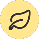 Eco-Friendly Solutions Icon
