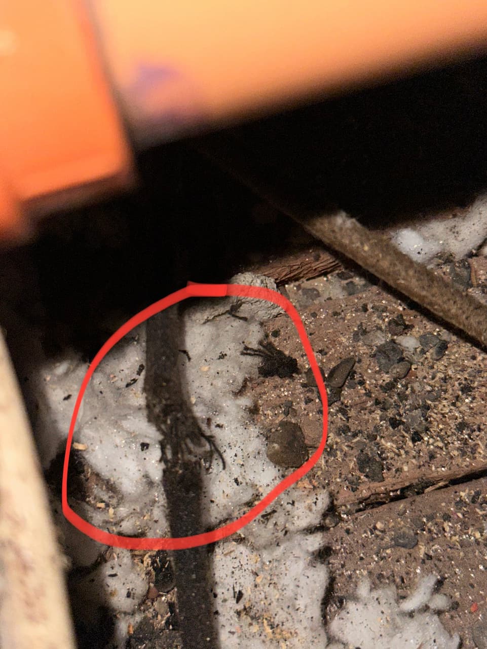 Aged wiring insulation in older home