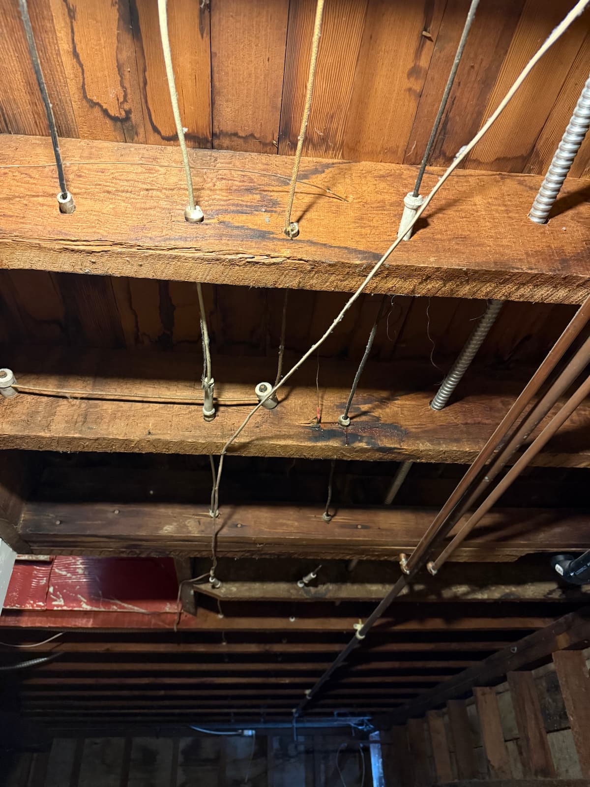 Basement ceiling knob and tube wiring