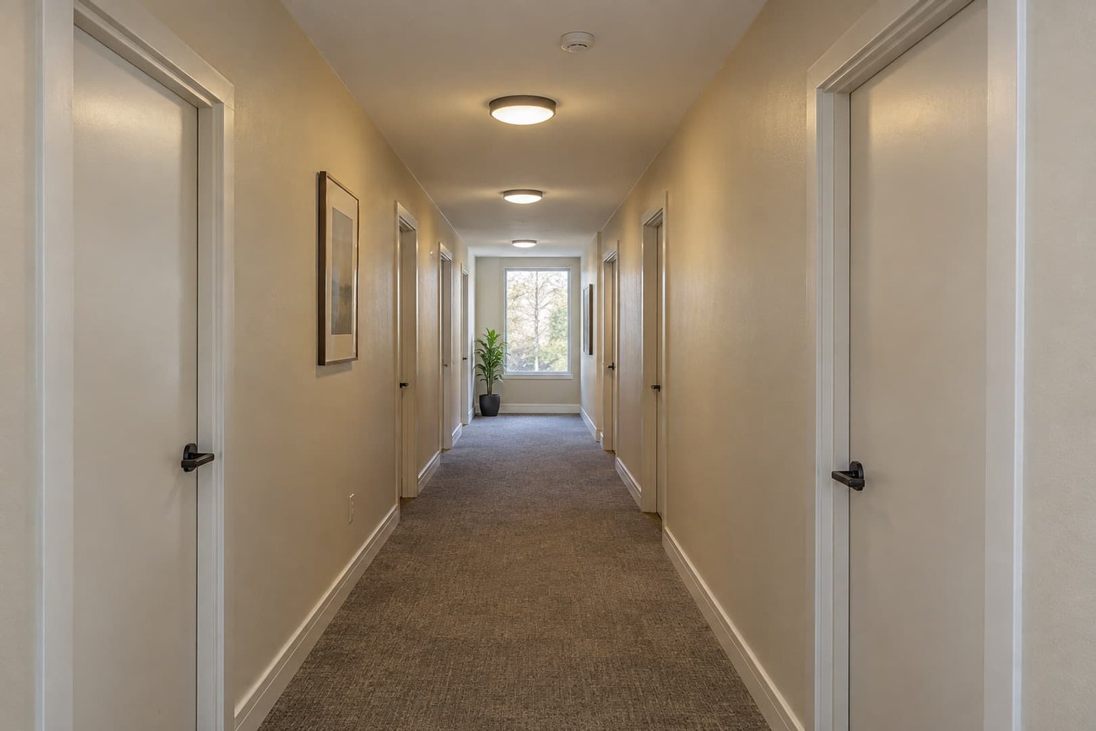 Apartment corridor with completed ceiling lighting